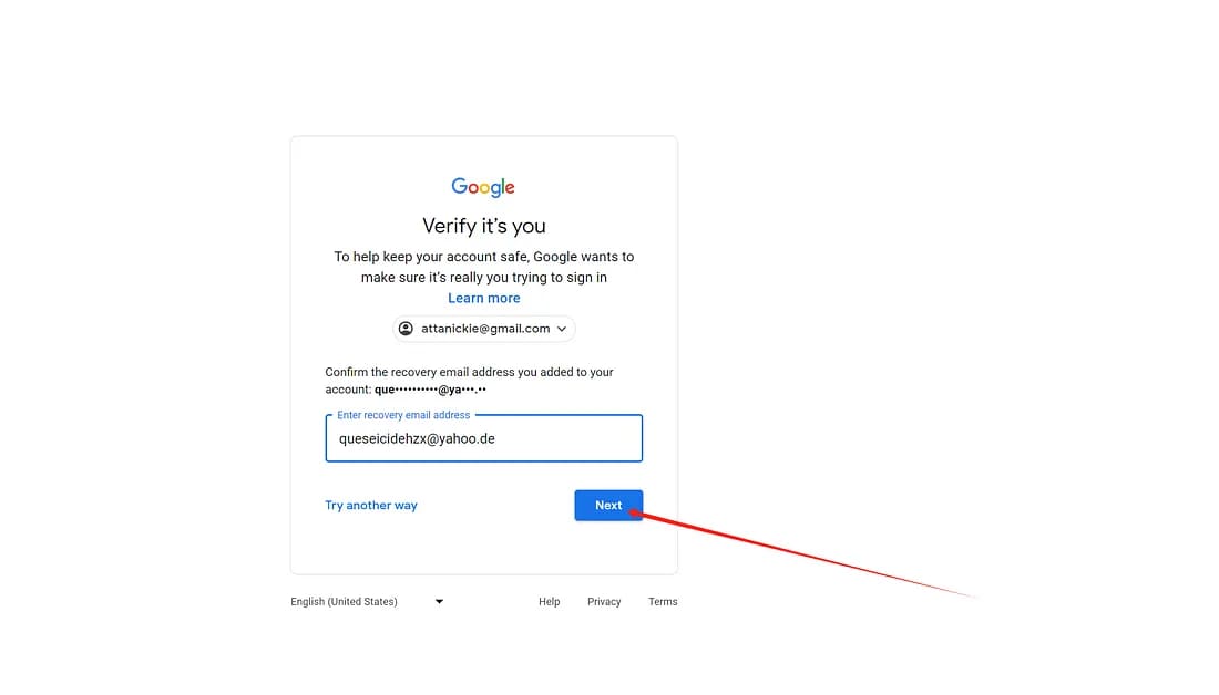 将订单提供的完整辅助邮箱填入Google验证框;示例地址已遮挡。