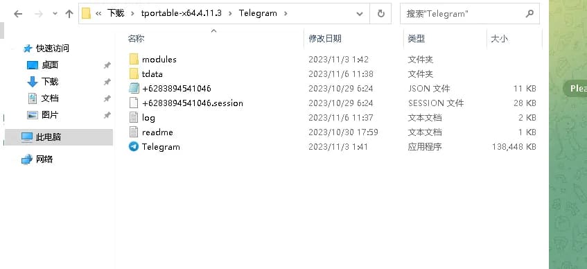 把完整tdata目录放到Telegram.exe同级位置；示例账号文件名已遮挡。