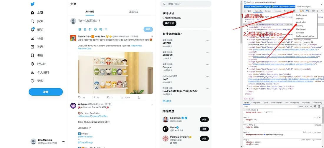在本人已经登录的X/Twitter页面打开开发者工具并进入存储或Cookie区域；会话值已遮挡。