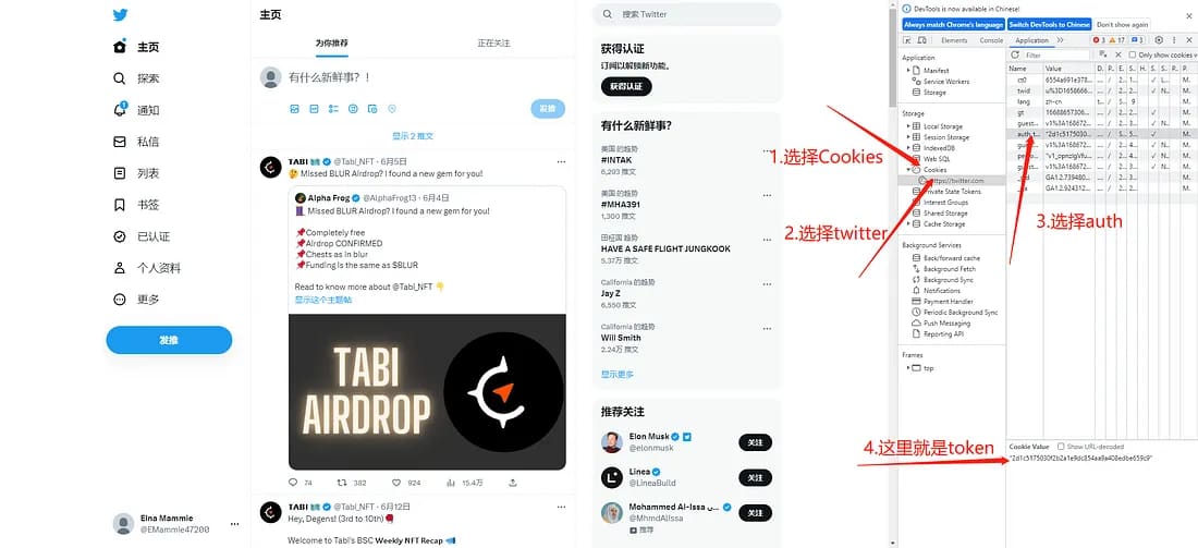 在Cookie列表中定位auth_token字段；示例会话值已整段遮挡。