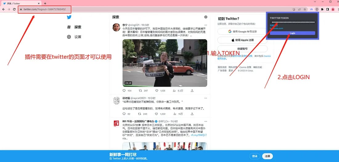 在X/Twitter官方页面打开指定登录工具，把订单中的auth_token填入对应位置；示例凭据已遮挡。